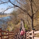 금산수삼센타 이미지