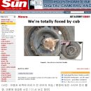 (주)자동차와 사람들 이미지