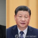 평화로운세상 이미지