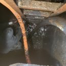 에버주유소 이미지