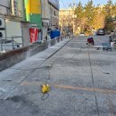 사파대동상가 이미지