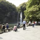 천지연폭포 이미지