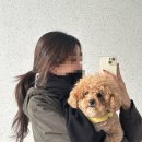 주아빛 | [뷰티] 송파역 에이치플레이스 송파헬리오시티점 주아쌤 염색 솔직후기 💭