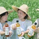 예천참기름 대구신문