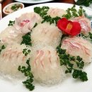 칠십리음식특화거리 | 서귀포 나운터횟집 제주도 회 맛집 추천 제대로 경험했어요