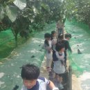 용우외가농장 이미지