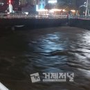 수월천 네이버블로그