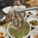 목포 수요미식회 낙지 맛집 출연한 &#39;송학낙지회관&#39; 꼭 가보고 싶던 곳 드디어 방문