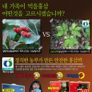 친환경풍기인삼영농조합법인 이미지