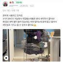 레미안세탁 | [사용자 리얼후기 ~6/28] 마감은 깔끔, 빨래 보관 많이되고 공간차지 없는 'JBJ 세탁바구니'