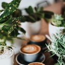 한국폴리텍 VI 대학 대구캠퍼스 이미지