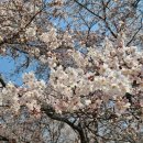 한국체대 킴스태권도장 이미지