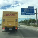 나무타는고양이 구경하는강아지 이미지