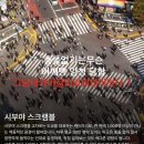 뿌리사생약건강원 | 이때가조앗다