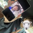 (주)서도기업 | Sum of Jan-Feb10 👼