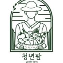 시장청년야채과일