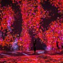 랩Flowers 이미지