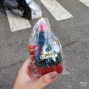 학동봄약국 | 241101~241130 너무 대충살았다