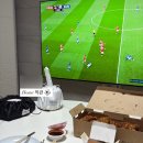 폭스빈 | 주안 트리 베이커리 카페 컬리폭스 내돈내산 후기