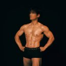 브이아이핏 이미지