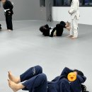 호반체육관 | 대전 주짓수 처음이라면? 용산진주짓수 여성 호신술 체험 후기