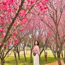 CU 인하로점 | 초보자도 쉬운 CU편의점 택배 보내는 법: 반값으로 배송비 아끼는 예약 꿀팁