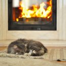 고려의료기 이미지