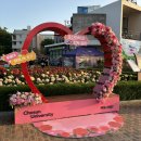 씨유 조선대장미원점 | [5월 광주 가볼만한 곳] 조선대 장미축제 광주데이트코스