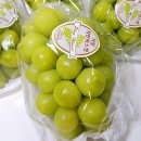 유창농장 이미지