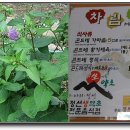 동박골식당 이미지