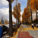 성모사랑병원 | 서울성모병원 출산 후기👼🏻