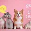 예쁜멍멍이 이미지