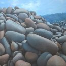 로비콘서트 이미지