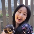 미소더홈