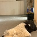 히든스테이 이미지