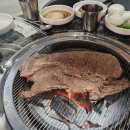 참정육