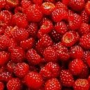 블루베리의 효능 이미지