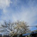 (주)테이크원컴퍼니 | 동묘 디카 동묘구제시장 빈티지 디카 구매 진명컴퍼니 장난감가게 연일전자 믿음사 명성전자 후기