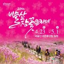 비슬산 참꽃문화제 이미지