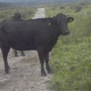 초야농장 이미지