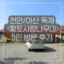 전놀부네 | 천안/아산 독채 단체숙소 펜션 <황토사랑나무야> 5인 방문 후기