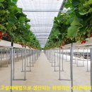 양동농장 이미지