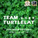 팀터틀랫 상인점 이미지