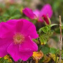 감천항로 이미지