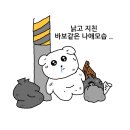 대전 멍택시 이미지
