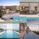 도예 | 그랜드 켄싱턴 설악비치 오픈 임박! 피카소 도예 전시 관람 후기