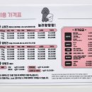 놀러왕왕왕 네이버블로그