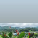 오즈스윗홈 이미지