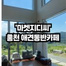 아홉사리로 | 홍천애견동반카페 단독카페 애견동반 &#39;마켓지디씨&#39; 방문 후기 / 어른들 모시고 오기 좋은 카페