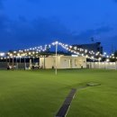 에브리댕댕 이미지